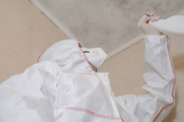 Best Mold Cleaning Services  in Clover, SC